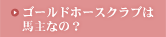 ゴールドホースクラブは馬主なの?
